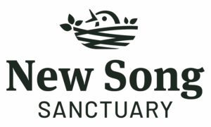 New Song Logo Primary Dark Green 300x180