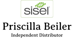 sisel Pricilla Beiler 2 300x158