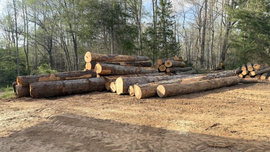 custom sawmill logs 1024x576