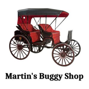 Martins Buggy Shop logo2 300x300